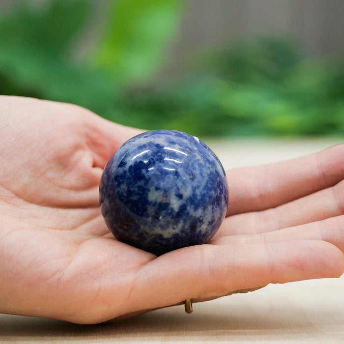 Office Luck Sodalite Sphere