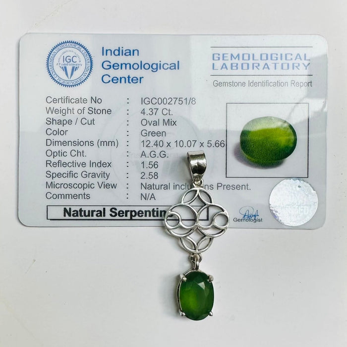 Spiritual Beginning Serpentine Silver Pendant